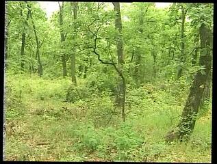 Video 1657960941: milf gilf cougar, ass milf mature cougar, big tits milf gilf, milf cougar hard, brunette milf cougar, vintage cougar, milfs tits cumshot, hardcore slamming, milf outdoor big tit, vintage straight