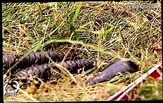 Video 1624074771: bdsm sex orgy, bdsm torment, torment domination, vintage bdsm, outdoor group sex orgy, pussy torment, bdsm sex play, girl tormented, whore humiliated, dominates straight, humiliate two