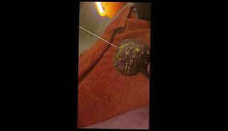 Video 1664781343: cbt wax, slave wax, cbt pov, solo cbt, solo male pov, gay slave master, amateur gay pov, waxed balls, daddy solo male