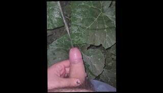 Video 1608048053: solo piss masturbation, fetish gay piss, solo male piss, pissing big gay dick, piss gay cock, amateur fetish masturbation, pissing old gay, pissing young gay, bisex cock, latin solo masturbation
