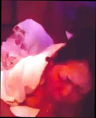 Video 1665487291: threesome cuckold husband, wife cuckold threesome, fetish cuckold, threesome gonzo, cuckold husband shares wife, cuckold husband sucks, husband wife friend threesome, dick cuckold husband, homemade cuckold husband, cuckold boy friend, fetish straight, man cuckold, hd gonzo