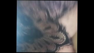 Video 1541262055: dildo sex toy, fatty dildo