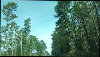 Video 1658340903: amateur interracial bbc slut, interracial wife bbc, bbc interracial cheating, interracial bbc latin, interracial bbc big, bbc pussy wife, big dick amateur bbc, bbc wet pussy, mature wife bbc, ebony bbc big dick, muscular bbc, good bbc, men bbc, bbc public