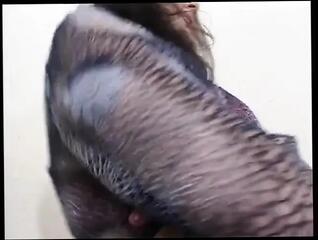 Video 1657987841: teen solo masturbation pussy, brunette teen solo masturbation, shaved pussy solo masturbation, teen ass solo, solo masturbating straight, high heels solo masturbation, sweet solo masturbation, stockings solo masturbation, lovely solo teen, bitch solo, cute teen solo, cunt solo, 18 year old solo, masturbating wearing stockings, masturbating english