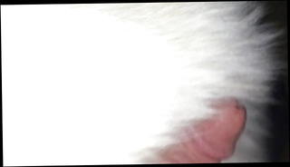 Video 1535120901: gay cock masturbation, gay cock rubbing, cock hd