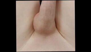 Video 1338264135: shemale tranny, shemale hard cock, shaved shemale