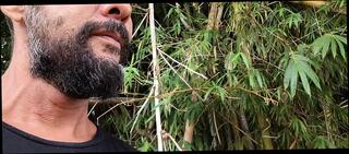 Video 1624808301: hairy solo gay, hairy male solo, gay hairy daddy, gay homemade solo, hairy amateur gay, hairy bearded daddy, hairy latino gay, hairy redneck, hairy brazilian, solo male hd, penis