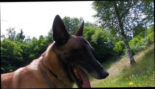 Video 1659312621: pussy horny girl fucking, horny amateur girl fucking, girl pussy anal fuck, cum anal sex fucking, horny beautiful girl fuck, horny girl love anal, hot horny girl fucking, european pussy fucking cum, anal fucked brunette girl, amateur outdoor anal sex, straight anal fucking, cum mouth beautiful girl, fucking copulating, hottest anal fuck, lingerie anal fucked, anal fuck hd, europe fucked, coitus