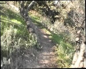 Video 1657385791: ryan meadows, babe anally banged doggy, hairy pussy fucked doggy, babe banged doggy style, ass banged doggy style, hardcore doggy style bang, hairy pussy banged hard, doggy style banging amateur, retro hairy pussy, blowjob ass fucked doggy, hairy pussy sucking fucking, hairy pussy fuck cumshot, hairy pussy fucked cum, huge ass fucked doggy, pussy ass hole banged, doggy tight ass fuck, babe banged facialized, big ass babe banged, cowgirl doggy style anal, brunette babe fucked doggy, hard doggy anal sex, slutty hairy pussy, hairy pussies straight, french babe hard banged, doggy style fucking harder, eating hairy ass, stiff banging, english retro, ass hardcore biggest cumshot