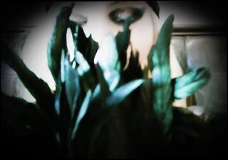 Video 1663167291: pantyhose goddess, fetish goddess, amateur goddess, fetish straight, goddess opens, goddesses face, blonde goddess, pantyhose hd