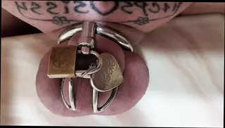 Video 1578317061: sissy crossdresser shemale, amateur sissy crossdresser, sissy dripping, sissy tattoo, beautiful sissy, lingerie sissy, beautiful shemale hd