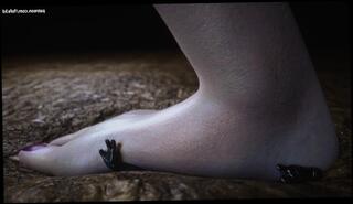 Video 1588216823: foot fetish feet worship, 3d anime uncensored, 3d cartoon animated, woman feet worship, amateur foot worship, anime alien, foot crush fetish, giantess foot crush, worships giant