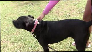 Video 1655641471: misty stone, celeste star, lesbian fingers dildo fucks, horny lesbians lick finger, sexy lesbians licking fingering, dildo pussy licking fingering, fingering pussy riding dildo, lesbians fingering toying pussy, lesbian babes fingering licking, dildo anal fuck fingering, sex toys dildos fingers, lesbian licks fingers beautiful, pussy eating fingering lesbian, lesbian dildo pussy play, lesbian licks fingers hot, brunette lesbians licking fingering, blonde lesbians licking fingering, fingering dildo orgasm, dildo fingering masturbating, fingering scissoring lesbians, fingering huge dildos, lesbian fingers tattooed, lovely lesbians fingering, fingers big dildo, nude fingering pussy, spread finger fucked, straight dildo toys female, fake penis fingers, dildo ride hd