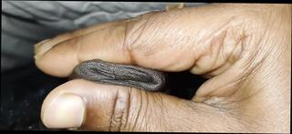 Video 1657846921: crossdresser femboy sissy fucking, twink sissy femboy cum, crossdresser sissy anal solo, indian sissy femboy crossdresser, twink boys bareback fuck, gay bareback twink boy, amateur teen sissy crossdresser, bareback twink gay sex, twink boy friends bareback, sissy femboy blowjob, sissy crossdresser cock, bareback fucks asian twink, bareback fuck young twink, sissy femboy masturbate, grandpa fucked crossdresser, twink big cock bareback, hunk barebacks twink, twink old grandpa, mature crossdressers sissys, desi twinks gay fucking, gay twinks fucking men, gay man fucking twink, fucking bareback hd, penis handjob