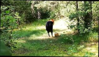 Video 1664934221: red fox, pussy sex machine, amateur sex machine, sex machine cumshot, sex machine blowjob, pussy eating machine, blonde sex machine, love sex machine, wife machine, caught red, machine outdoor, machine hd, wife nude sex, amateur straight blowjob, straight tattooed amateur