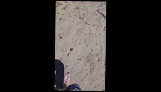 Video 1612022483: gay feet fetish, fetish gay solo, male feet fetish, solo gay amateur, beach feet, solo male public, college feet, toes