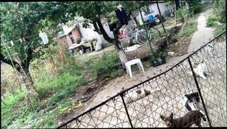 Video 1654462421: pov amateur solo girl, uncensored amateur pov, pov solo teen, pov bisexual, solo pov hot, horny homemade solo girl, solo horny sexy girl, teen slut perverted uncensored, solo teen naughty girl, solo petite teen slut, big boob teen pov, girl nude solo, close solo amateur girl, straight amateur solo, big natural boobs pov, beautiful slut uncensored, bisexual erotica, very horny solo, european teen pov, girl solo hd, nipples pov, pink hair pov, big natural boobs babe, bulgarian big boobs