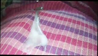 Video 1608251611: solo big cock masturbation, solo masturbation handjob, big cock solo cumshot, solo masturbation gay, solo amateur masturbation, mature solo masturbation, asian solo masturbation, solo masturbation hd, solo blowjob, indian solo, sex indian masturbation
