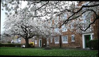 Video 1658015001: horny stepmom pussy, horny stepmom rides, horny big ass stepmom, dick slapping pussy, horny stepmom fucks, riding stepsons cock, amateur stepmom fucked, stepmom's juicy pussy, tight gripping pussy, stepmoms wet pussy, desi big ass stepmom, stepmom nude, mom stepmom, stepmom cowgirl, takes stepsons cock, couple stepmom, cumshot stepmom, stepmom pleasures, stepmom big natural, stepmom deep, hd stepmom, straight couple fucks, pussy deeper, moaning