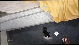 Video 1655013851: booty doggy style pov, wife doggy style pov, couple doggy style pov, homemade pov doggy style, ass pov doggy style, amateur pov doggy style, big ass pov doggy, african booty doggy style, brother doggy style, black booty doggy style, booty ebony doggy style, doggy style pov hd, butt big ass booty, ass spanking doggy, huge ass doggy style, doggy style straight, smashed doggy style, brothers giant, massive black booty, afro booty, booty smack, large booty