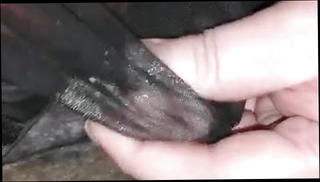 Video 1571265761: sperma, short gay