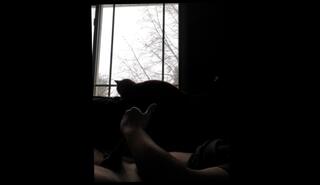 Video 853420003: chubby gay solo, chubby teen solo, chubby male solo, solo jock, amateur solo gay porn, gay porn broke, solo male cumshots gay, chubby gay cumming, solo handjob cum, solo male cum shot, broke college gay, young gay jock, amateur teen handjob, masterbation