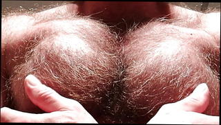 Video 1565907001: gay joi, muscle joi, big furry, german joi, love joi, young joi, gay muscle hunk, gay muscle bear, old gay bear