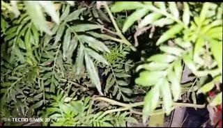 Video 1665559631: pumped doggy style, doggy style massage, teen pussy pump, intimate pussy massage, doggy style pussy filled, housewife doggy style, doggy style nude, couple doggy style, doggy style straight, doggy door, bangladeshi doggy style, next massage, doggy style cheating, doggy style time, massage experience, doggy style hd, teen hookup