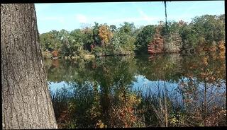 Video 1657218573: solo interracial, big dick ebony solo, big dick solo male, solo amateur latin, amateur mature interracial, solo muscular male, park solo, interracial men