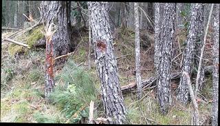 Video 1664303051: crossdresser femboy sissy, twink sissy femboy, sissy femboy masturbate, gay sissy femboy, sissy femboy amateur, sissy femboy lingerie, femboy pantyhose, twink emo masturbate, crossdresser masturbating stockings, gay twink french, hd femboy