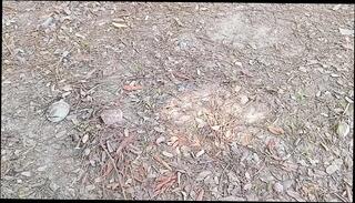 Video 1665374391: milf aunty sex, milf aunty fucked, bdsm big ass milf, amateur milf bdsm, hot desi aunty milf, indian hot milf aunty, milf step auntie, milf step sister, tits milf titty fucks, milf homemade amateur wife, amateur milf homemade blowjob, aunty girl sex indian, housewife aunty sex, fuck step mom sister, milf dirty talk fuck, big breast milf fucked, milf beauty ass fucked, milf ass fucked rough, aunty sex indian hindi, indian old aunty fuck, ass milf 18 years, aunty sex hd, hottest homemade bdsm, milf brutally fucked, bdsm mouth fucking, straight bdsm