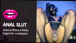 Video 1618773653: crossdresser sissy dildo solo, sissy crossdresser riding dildo, sissy femboy rides dildo, crossdresser sissy fucks dildo, femboy dildo solo anal, fetish crossdresser sissy, amateur teen sissy crossdresser, solo anal dildo masturbation, trans femboy sissy, sissy bondage fuck, sissy femboy training, asian sissy femboy, sissy slut rides