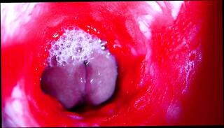 Video 1657441581: gay twink bdsm, fetish bdsm anal, fetish hardcore bdsm, bdsm fetish cock, bdsm fetish sex, fetish bdsm fucking, fetish teen bdsm, fetish bdsm hot, twink boy gay sexy, daddy fucks twink gay, twinks gays boys masturbations, dick twink anal sex, cock sex toys fetish, twink boy pussy, twink big dick boy, gay twink moans, gay man fucking twink, twink russian boy, twink sex hd, twink close