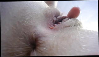 Video 1517885901: girl webcam pussy masturbation, girl masturbation pussy ass, pussy ass hole masturbation, redhead webcam girl, webcam girl chatting, american webcam girl, straight ass hole