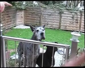 Video 1654904861: bisexual german milfs, blonde milf retro, amateur milf anal facial, amateur milf anal hardcore, milf hardcore blowjob amateur, slutty milf bitch, horny slutty milf, slutty big ass milf, horny dirty milf, german milf ass fucked, slutty big tit milf, big ass milf cowgirl, milf big tits dick, tight milf ass hole, massive facial milf, tight milf cunt, missionary milf big, hottest big tits milf, straight bisexual, milf wrecks, milf head, nice ass bitch, rod ass