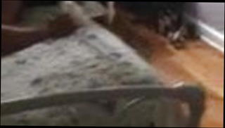 Video 1244320301: interracial milf creampie, milf sex creampie, creampie milf big ass, mature granny creampie, latin milf creampie, milf big ass mom, mom son creampie, milf mom mother, creampie straight, horny mom son, mom step son, mom came