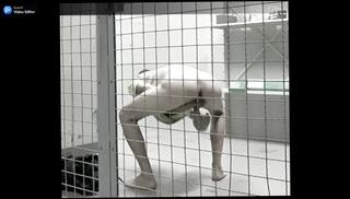 Video 1624694063: big dick solo male, amateur solo male, amateur asian solo, korean solo male, solo male public, indian solo, solo celebration, milking