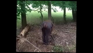Video 1623825175: solo outdoor masturbation, exercise masturbation