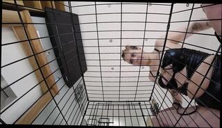 Video 1664325981: pussy worship pov, pov tit worship, solo pov pussy, boot worship pov, worship facesitting, mistress cage, tits pov riding, facesitting pussy eating, facesitting small tits, pov face riding, worshiping straight, blonde solo pussy, hd pov riding, leather boot worship, heel boot worship, facesitting spitting, high heels worship, tattooed mistress, licking spitting, licking drinking