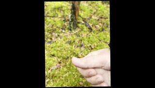 Video 1620761523: huge solo cumshot compilation, solo male cumshot compilation, huge cock solo compilation, big cock solo compilation, solo cum compilation, solo masturbation compilation, fetish solo masturbation, amateur handjob cumshot compilation, dick solo masturbating cumming, amateur public handjob compilation, jerking cumshot compilation, sex cumshot compilation, fuck big dicks compilation, fast cumshot compilation