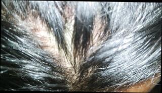 Video 1658127821: teen sister fucks brother, brother step sister homemade, brother anal step sister, brother step sister sex, amateur step brother sister, brother sister mom, teen sister milf, sister step brother desi, hot step brother sister, indian brother step sister, brother step sister first, big step brother sister, mature milf gonzo, fucks teen sister ass, milf wife ass fucked, amateur milf wife blowjob, milf blowjob tit fuck, milf fucks teen girl, milf cheating wife fucked, fucks brazilian milf girl, milf anal fucks man, milf mom step son, sister first time anal, ass milf 18 years, ass african milf, old step sister fucked, best hot milf mom, brothers penis, straight step brother, milf brutally fucked, milf anal hd, bangladeshi milf, milf latinas, indonesia anal sex, very hot blowjob, very wet blowjob, hot tie blowjob