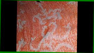 Video 1658540715: big cock solo compilation, solo cum compilation, solo cumshot compilation, solo masturbation compilation, ebony solo compilation, dick solo masturbating cumming, moaning cum compilation, black cock cumshot compilation, homemade cum compilation, cumshot compilation close, jerking