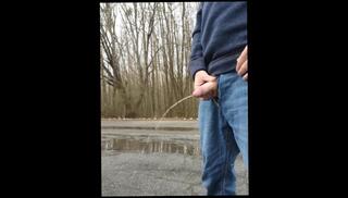 Video 1592745623: pissing peeing fetish, solo pee fetish, hairy dick solo, solo male piss, male pov pee, hairy bear solo, hairy mature pov, amateur pov dick, amateur public piss, big dick pissing, piss park, ginger pissing