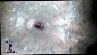 Video 1655878651: twink bareback fucked creampied, hairy twinks bareback, sissy bareback creampie, twink boys bareback fuck, gay bareback twink boy, amateur twink couple bareback, twink anal fucks bareback, twink bareback ass fucking, twink bareback fucking teen, twink boy friends bareback, african twinks bareback fuck, bareback fuck young twink, condom anal bareback, chubby sissy fucked, homemade twinks bareback, twinks bareback cumshot, twink bareback breeding, twinks american bareback, chubby black sissy, creampie inside hairy, twink boys nude gay, anal creampie load, fucking bareback hd