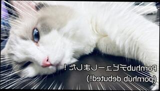 Video 1576493233: anime feet, solo male pov, solo gay amateur, cute amateur pov, japanese amateur pov