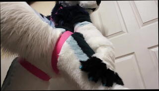 Video 1629352685: butt ass