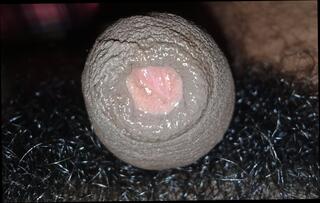 Video 1616875441: solo gay uncut cock, grandpa uncut cock, hairy big uncut cock, big uncut cock bareback, femboy anal creampie, hairy uncut daddy, hairy uncut big dick, femboy solo ass, amateur femboy solo, bareback creampie cum, bareback sex creampie, hairy teen creampie, hairy young men bareback, uncut hairy black big, hairy indian creampie, hairy man solo, hairy boy gay sex, bareback anal sex blowjob, boy friends uncut dick, uncut cock handjob, hot bareback anal sex, bathroom bareback boy friends, femboy small cock, grandpas old cock, anal creampie hd, grandpa younger, funny anal sex, mom steps