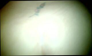 Video 265367401: amateur wife pussy, amateur wife deep, straight pussy