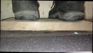 Video 1619251753: feet solo, solo gay amateur, gay male feet, boots feet, feet trample, feet crush, dirty boots