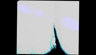 Video 1654205895: foot fetish feet worship, foot fetish sexy feet, femboy foot fetish, femboy fishnet ass feet, twerking ass worship, shemale foot worship, beautiful girl feet fetish, foot worshipping babe, foot worship high heels, foot worship boot, foot leg worship, femboy pumps, foot worship face, friend foot worship, latin foot worship, pretty feet foot, bisexual femboy, public foot worship, foot fetish close, foot fetish cute, femboy thigh, nails sexy feet, sissy slut playing, stripper twerking, worshipping transsexuals, babes feet creamed, sexy fetish lingerie, femboy screams, femboy angel, haired femboy, twerking flashing, latin mouth fetish